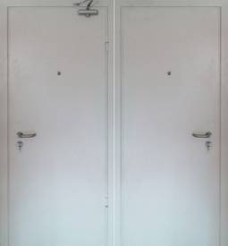 Противопожарная дверь № 18 (порошок и порошок, цвет RAL 9003) с доводчиком
