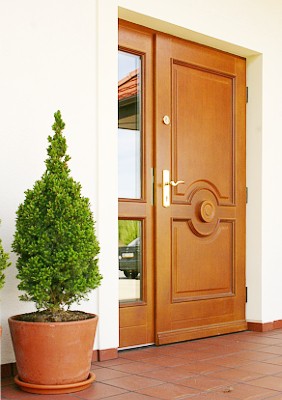 Полуторная дверь с массивом дерева