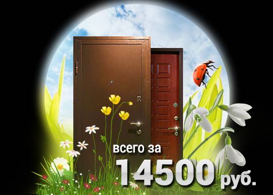 Взломостойкие двери всего за 14500 рублей